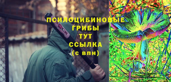 spice Инсар