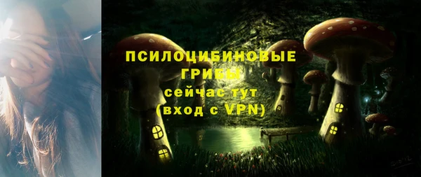 каннабис Инта