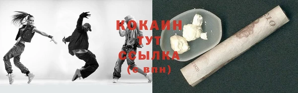 spice Инсар