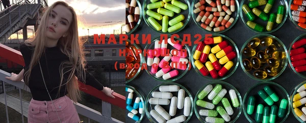 spice Инсар