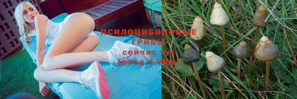 каннабис Инта