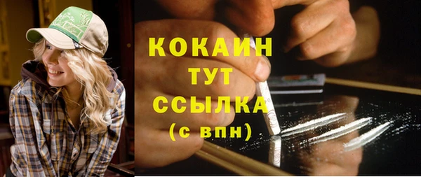 spice Инсар